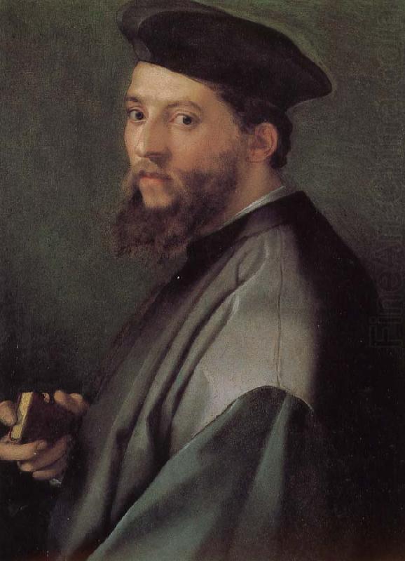 The clergy image, Andrea del Sarto